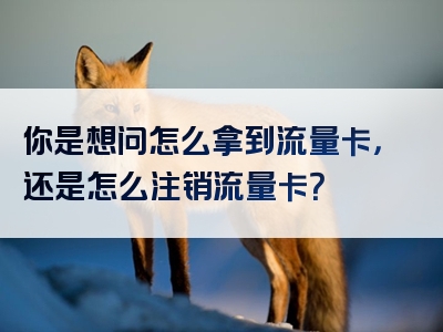 你是想问怎么拿到流量卡，还是怎么注销流量卡？
