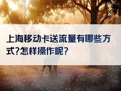 上海移动卡送流量有哪些方式？怎样操作呢？