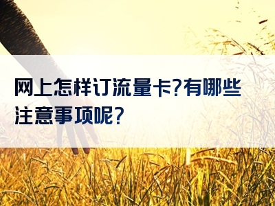 网上怎样订流量卡？有哪些注意事项呢？