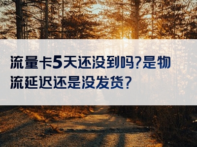 流量卡5天还没到吗？是物流延迟还是没发货？