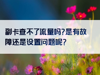 副卡查不了流量吗？是有故障还是设置问题呢？
