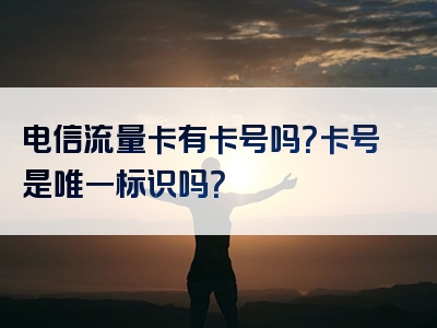 电信流量卡有卡号吗？卡号是唯一标识吗？