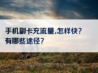 手机副卡充流量，怎样快？有哪些途径？