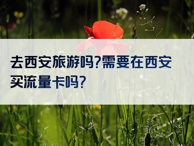 去西安旅游吗？需要在西安买流量卡吗？