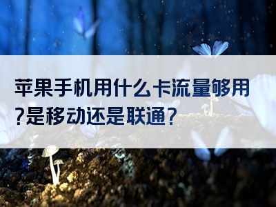 苹果手机用什么卡流量够用？是移动还是联通？