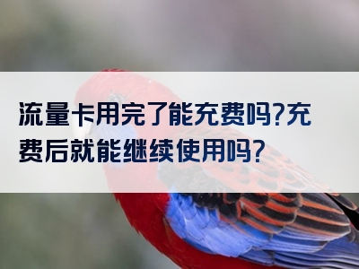 流量卡用完了能充费吗？充费后就能继续使用吗？