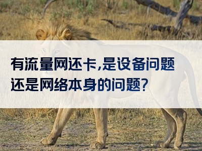 有流量网还卡，是设备问题还是网络本身的问题？