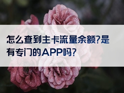 怎么查到主卡流量余额？是有专门的APP吗？