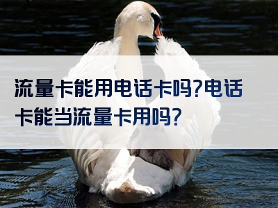 流量卡能用电话卡吗？电话卡能当流量卡用吗？