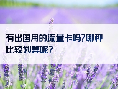 有出国用的流量卡吗？哪种比较划算呢？