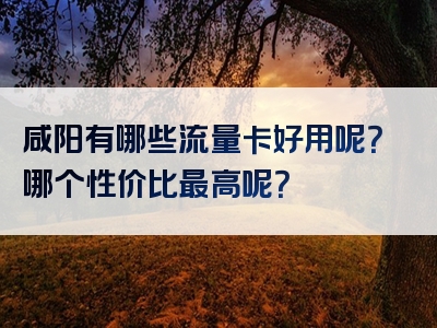 咸阳有哪些流量卡好用呢？哪个性价比最高呢？