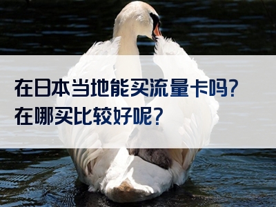 在日本当地能买流量卡吗？在哪买比较好呢？