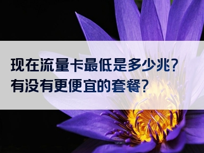 现在流量卡最低是多少兆？有没有更便宜的套餐？