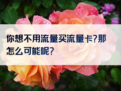 你想不用流量买流量卡？那怎么可能呢？
