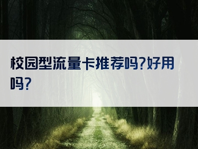 校园型流量卡推荐吗？好用吗？