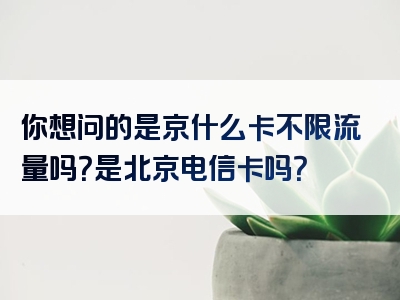 你想问的是京什么卡不限流量吗？是北京电信卡吗？