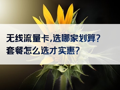 无线流量卡，选哪家划算？套餐怎么选才实惠？