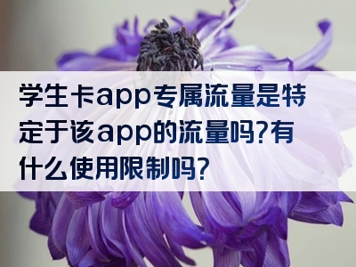 学生卡app专属流量是特定于该app的流量吗？有什么使用限制吗？