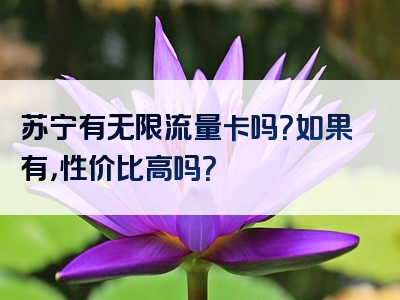 苏宁有无限流量卡吗？如果有，性价比高吗？