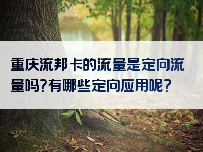 重庆流邦卡的流量是定向流量吗？有哪些定向应用呢？