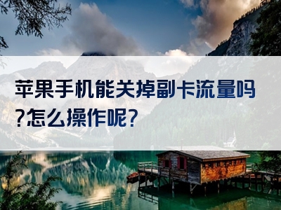 苹果手机能关掉副卡流量吗？怎么操作呢？