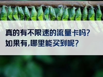 真的有不限速的流量卡吗？如果有，哪里能买到呢？