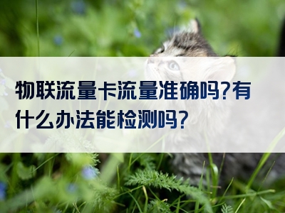 物联流量卡流量准确吗？有什么办法能检测吗？