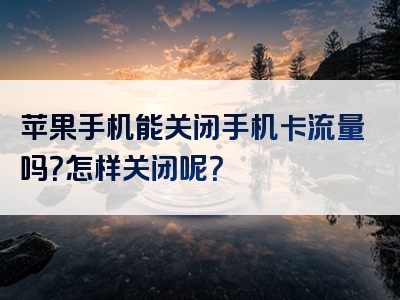 苹果手机能关闭手机卡流量吗？怎样关闭呢？