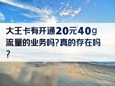 大王卡有开通20元40g流量的业务吗？真的存在吗？