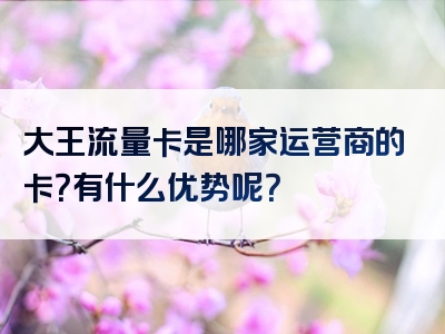 大王流量卡是哪家运营商的卡？有什么优势呢？
