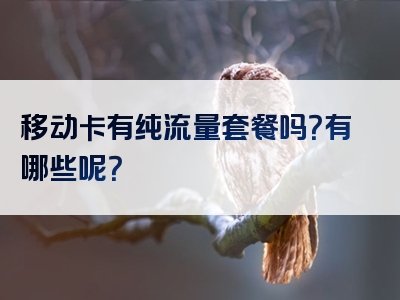 移动卡有纯流量套餐吗？有哪些呢？