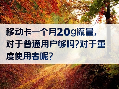 移动卡一个月20g流量，对于普通用户够吗？对于重度使用者呢？