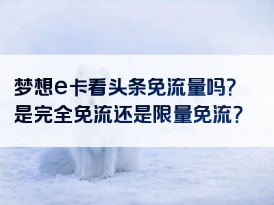 梦想e卡看头条免流量吗？是完全免流还是限量免流？
