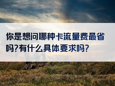 你是想问哪种卡流量费最省吗？有什么具体要求吗？