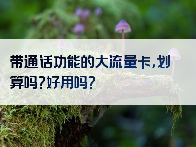 带通话功能的大流量卡，划算吗？好用吗？