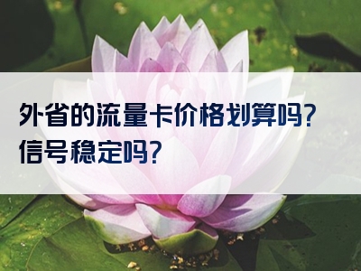 外省的流量卡价格划算吗？信号稳定吗？