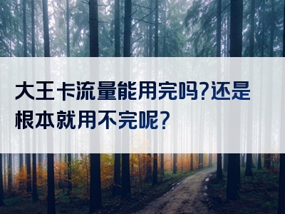 大王卡流量能用完吗？还是根本就用不完呢？
