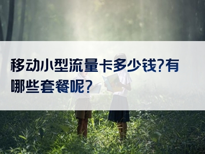 移动小型流量卡多少钱？有哪些套餐呢？