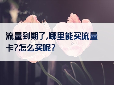 流量到期了，哪里能买流量卡？怎么买呢？