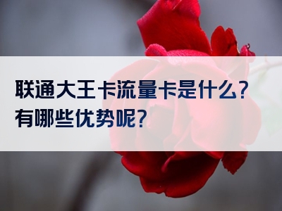 联通大王卡流量卡是什么？有哪些优势呢？