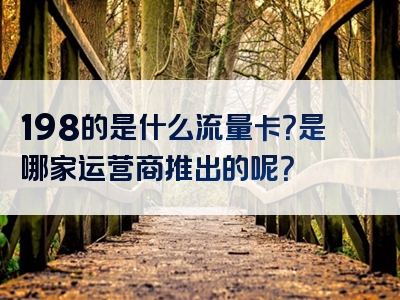 198的是什么流量卡？是哪家运营商推出的呢？
