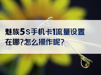 魅族5s手机卡1流量设置在哪？怎么操作呢？