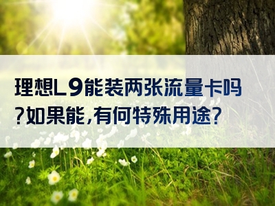 理想L9能装两张流量卡吗？如果能，有何特殊用途？