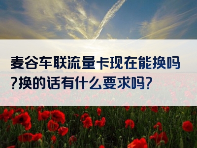 麦谷车联流量卡现在能换吗？换的话有什么要求吗？