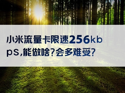 小米流量卡限速256kbps，能做啥？会多难受？