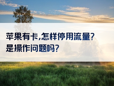 苹果有卡，怎样停用流量？是操作问题吗？