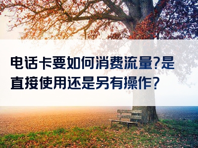 电话卡要如何消费流量？是直接使用还是另有操作？