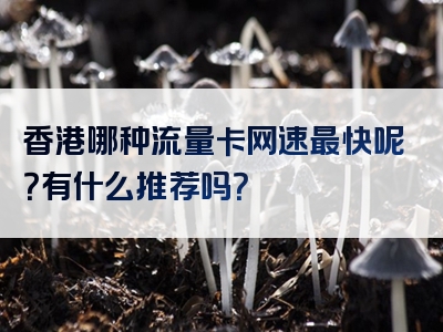 香港哪种流量卡网速最快呢？有什么推荐吗？