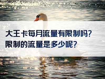大王卡每月流量有限制吗？限制的流量是多少呢？