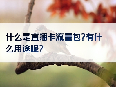什么是直播卡流量包？有什么用途呢？